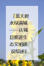 蓝天碧水绿满城——庆城县推进生态文明建设综述