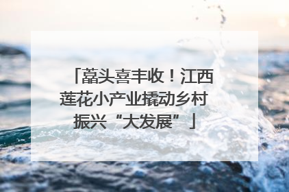藠头喜丰收！江西莲花小产业撬动乡村振兴“大发展”
