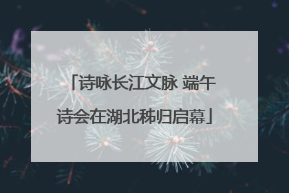 诗咏长江文脉 端午诗会在湖北秭归启幕