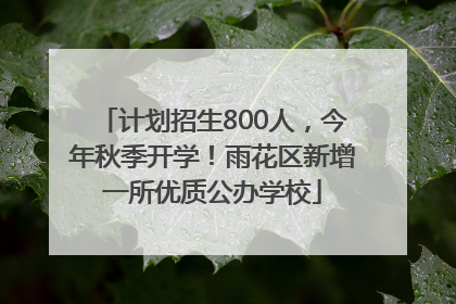 计划招生800人，今年秋季开学！雨花区新增一所优质公办学校