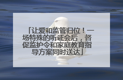 让爱和监管归位！一场特殊的听证会后，督促监护令和家庭教育指导方案同时送达