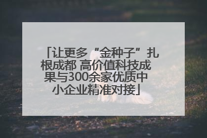 让更多“金种子”扎根成都 高价值科技成果与300余家优质中小企业精准对接
