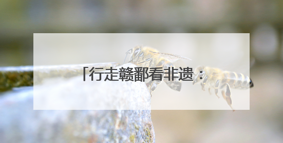 行走赣鄱看非遗：“希望岳家拳的身影遍布大江南北”