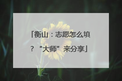 衡山：志愿怎么填？“大师”来分享