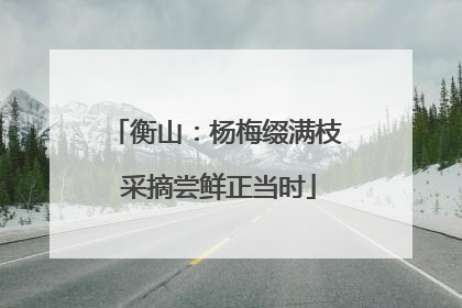 衡山：杨梅缀满枝 采摘尝鲜正当时