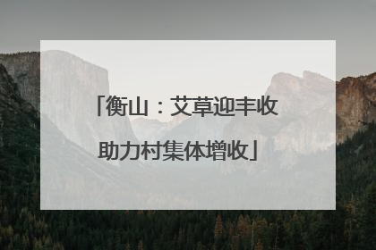 衡山：艾草迎丰收 助力村集体增收