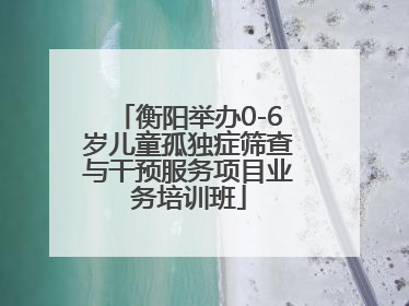 衡阳举办0-6岁儿童孤独症筛查与干预服务项目业务培训班