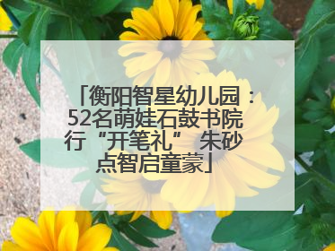 衡阳智星幼儿园：52名萌娃石鼓书院行“开笔礼” 朱砂点智启童蒙