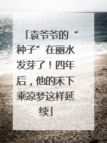 袁爷爷的“种子”在丽水发芽了！四年后，他的禾下乘凉梦这样延续