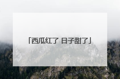 西瓜红了 日子甜了