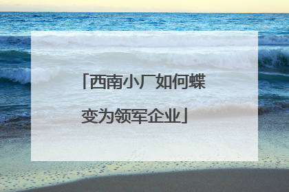 西南小厂如何蝶变为领军企业