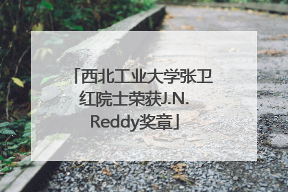 西北工业大学张卫红院士荣获J.N.Reddy奖章