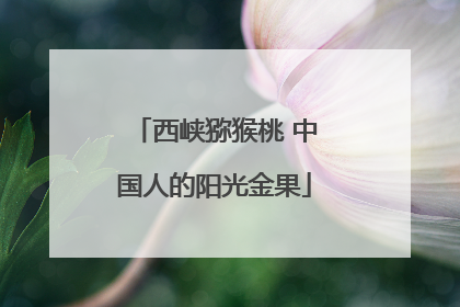 西峡猕猴桃 中国人的阳光金果