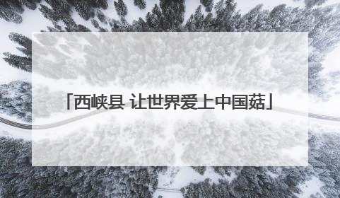 西峡县 让世界爱上中国菇