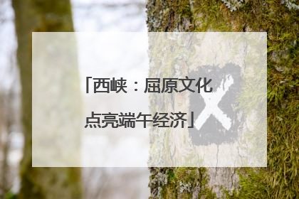 西峡：屈原文化点亮端午经济