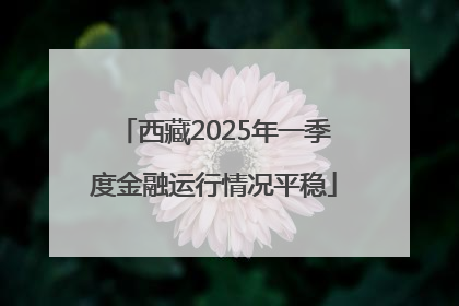 西藏2025年一季度金融运行情况平稳