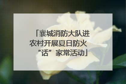 襄城消防大队进农村开展夏日防火“话”家常活动