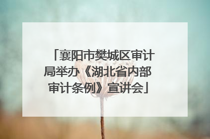 襄阳市樊城区审计局举办《湖北省内部审计条例》宣讲会