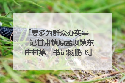 要多为群众办实事——记甘肃镇原孟坝镇东庄村第一书记杨鹏飞