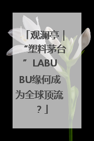 观澜亭｜“塑料茅台”LABUBU缘何成为全球顶流？