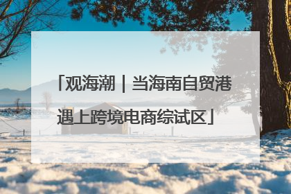观海潮｜当海南自贸港遇上跨境电商综试区