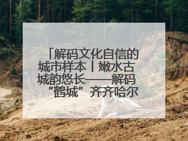 解码文化自信的城市样本丨嫩水古城韵悠长——解码“鹤城”齐齐哈尔的文化自信样本