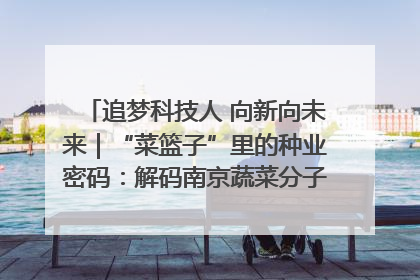 追梦科技人 向新向未来｜“菜篮子”里的种业密码：解码南京蔬菜分子育种的创新之路