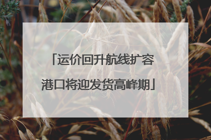 运价回升航线扩容 港口将迎发货高峰期