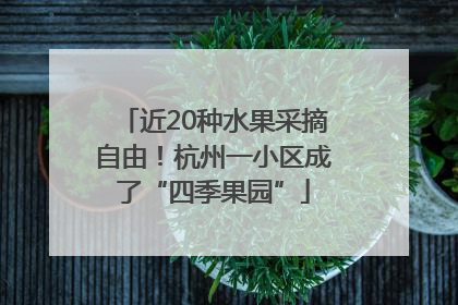 近20种水果采摘自由！杭州一小区成了“四季果园”