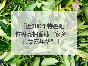 近300个特色摊位将亮相香港“家乡市集嘉年华”