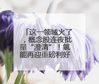这一领域火了，概念股连夜批量“澄清”！氢能再迎重磅利好，基金重仓股出炉
