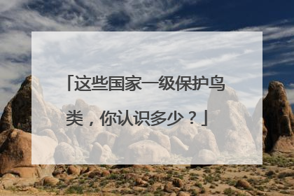 这些国家一级保护鸟类，你认识多少？