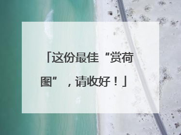 这份最佳“赏荷图”，请收好！