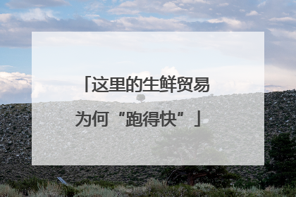 这里的生鲜贸易为何“跑得快”