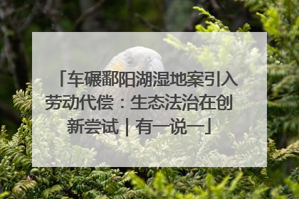 车碾鄱阳湖湿地案引入劳动代偿：生态法治在创新尝试｜有一说一