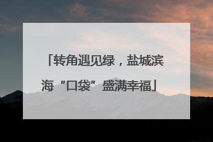 转角遇见绿，盐城滨海“口袋”盛满幸福