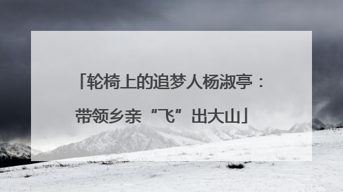 轮椅上的追梦人杨淑亭：带领乡亲“飞”出大山