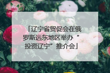 辽宁省贸促会在俄罗斯远东地区举办“投资辽宁”推介会