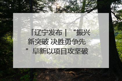 辽宁发布｜“振兴新突破 决胜勇争先”阜新以项目攻坚破解发展瓶颈 经济发展实现良好开局