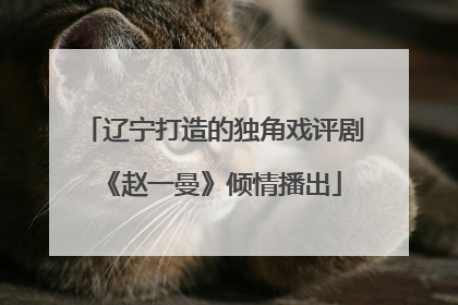 辽宁打造的独角戏评剧《赵一曼》倾情播出