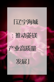 辽宁海城：推动菱镁产业高质量发展