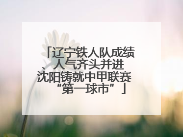 辽宁铁人队成绩、人气齐头并进 沈阳铸就中甲联赛“第一球市”