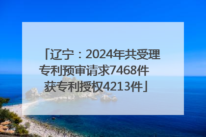 辽宁：2024年共受理专利预审请求7468件 获专利授权4213件