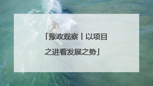 豫政观察丨以项目之进看发展之势