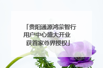 贵阳通源鸿蒙智行用户中心盛大开业 获首家尊界授权