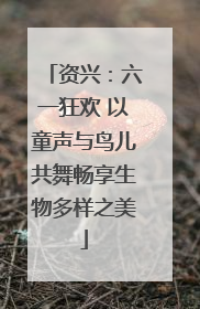 资兴：六一狂欢 以童声与鸟儿共舞畅享生物多样之美
