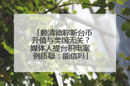 赖清德称新台币升值与美国无关？媒体人提台积电案例质疑：能信吗