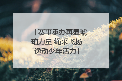 赛事承办再显琥珀力量 绳采飞扬逸动少年活力