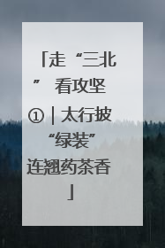走“三北” 看攻坚①｜太行披“绿装” 连翘药茶香