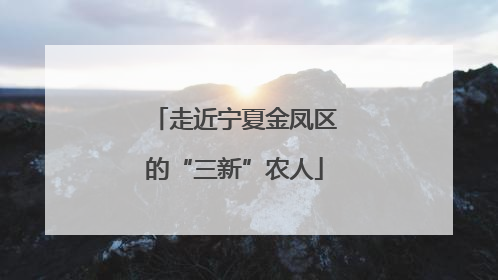走近宁夏金凤区的“三新”农人